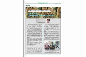 Artikel Image
