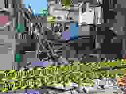 Artikel Image